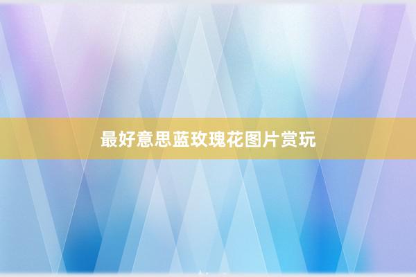 最好意思蓝玫瑰花图片赏玩